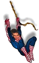 Have Randoon spin your web.